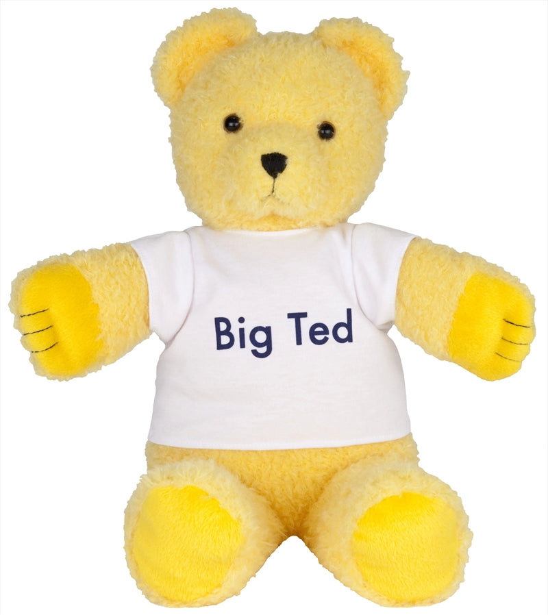 Play School - Big Ted Plush